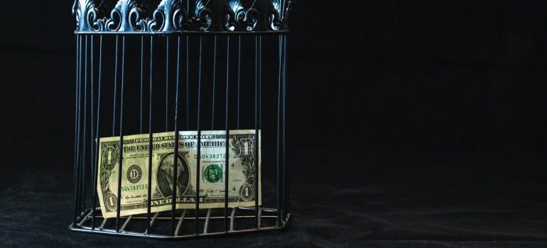 a dollar bill in a cage